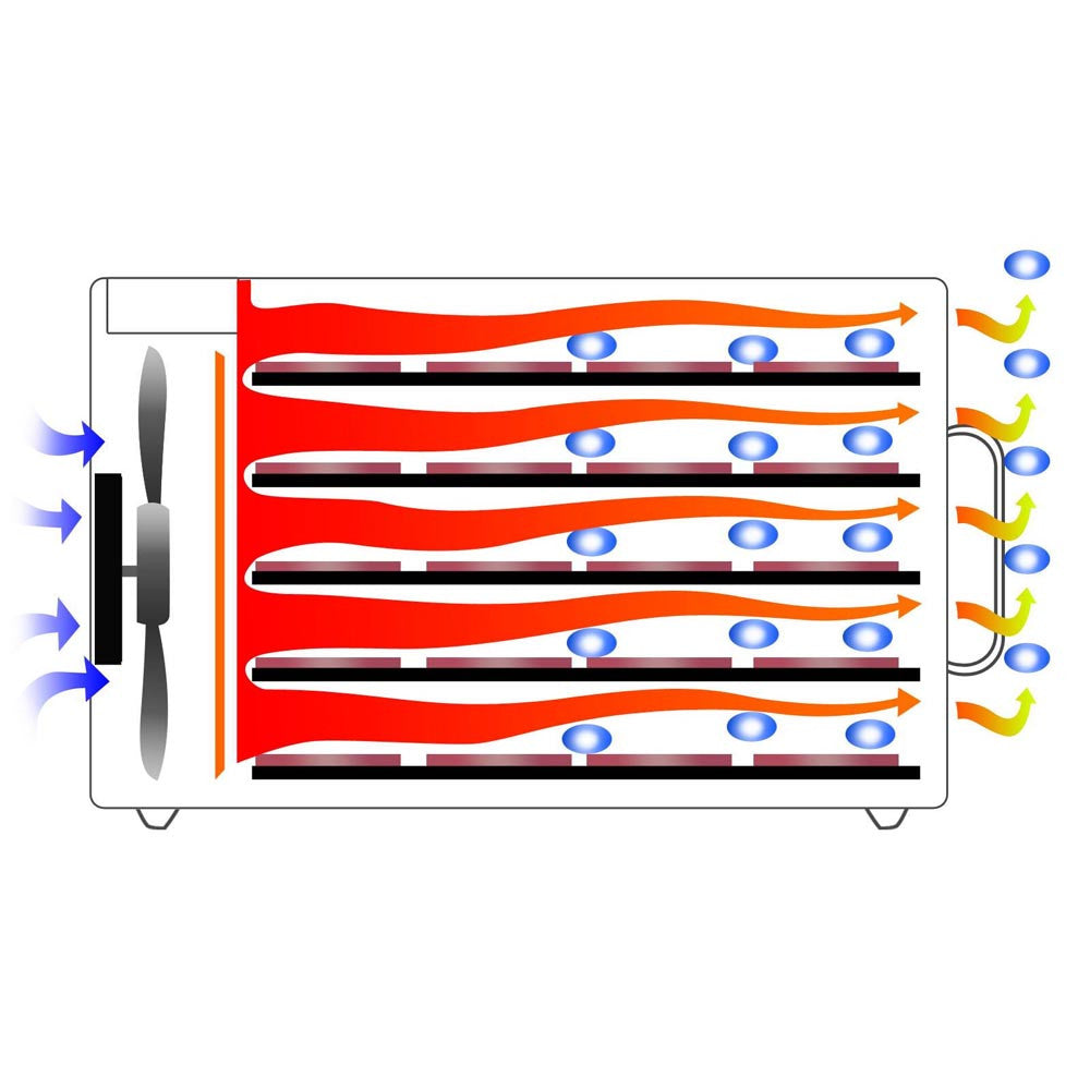 Stainless Steel Food Dehydrator – 10 Trays