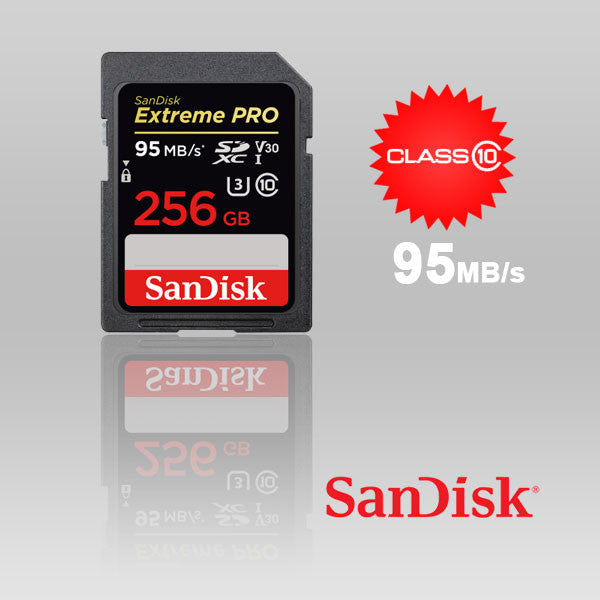 SanDisk 256GB Extreme PRO UHS-I SDXC Memory Card (V30) 95mb/s SDSDXXG-256G-GN4IN