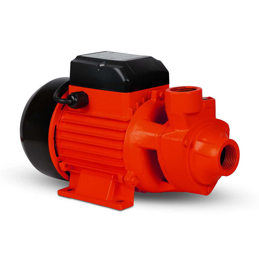 Electric Clean Water Pump 3300L/Hour 1/HP